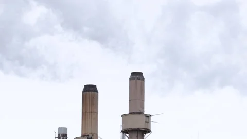 Stacks Stock Footage 147518468