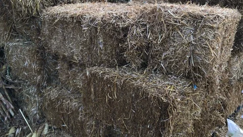 Stacks of hay in close up Stock Footage 98439641