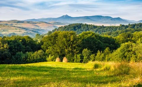Stacks of hay on the hill side Stock Photos