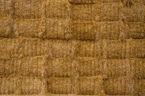Stacks of hay. Stock Photos