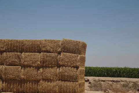 Stacks of Hay Stock Photos