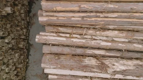 Stacks of large logs await delivery to processing mill in outdoor storage yard Stock Footage 204103440
