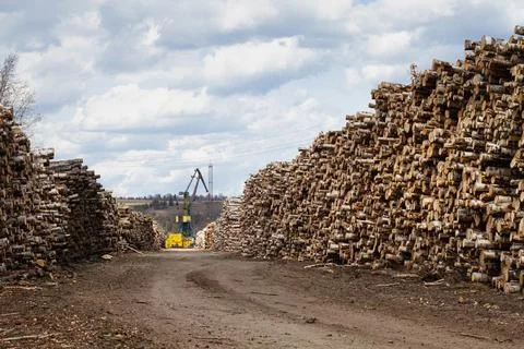 Stacks of logs and a crane Stock Photos