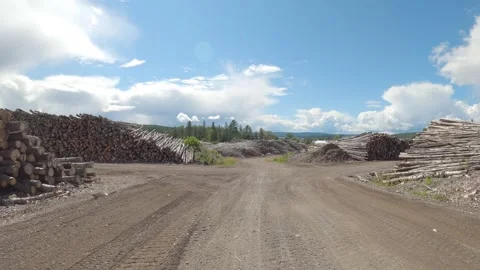 Stacks of logs on dirt road awaiting processing at an outdoor lumberyard Vídeo Stock 331290951