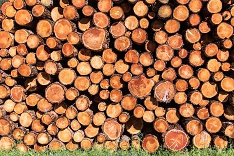 Stacks of lumber in a sawmill Stock Photos