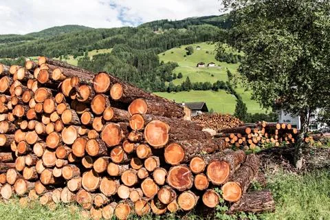 Stacks of lumber in a sawmill 写真素材