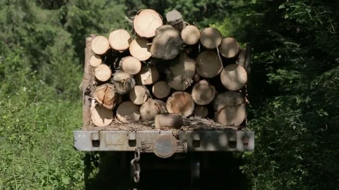 Stacks of lumber on a train Stock Footage 73004640