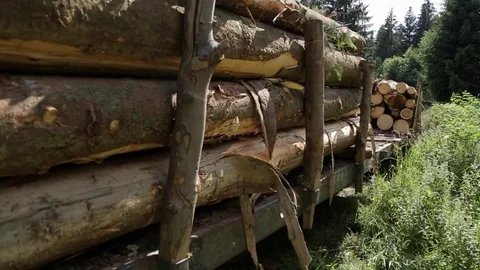 Stacks of lumber on a train Stock-Footage 73004642