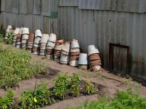 Stacks of many old rusty, leaky buckets along the slate wall in the garden. Stock Photos