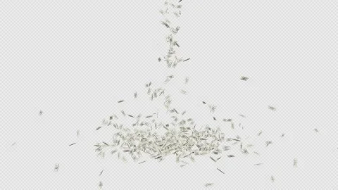 Stacks of money falling from on transparent background. Pack of dollar bills Stock Footage 240850613