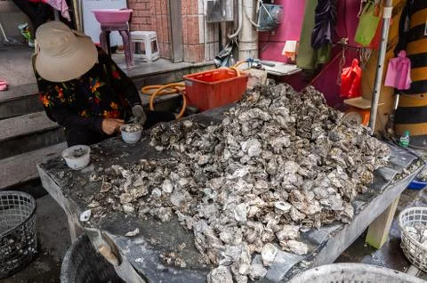 Stacks of oyster shell on a basket Stock Photos