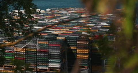 Stacks of Plastic Fish Crates Framed by Trees Stock Footage 335347414