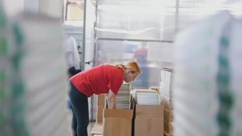 Stacks of printed edition in front of working woman sort the newspapers in the Stock Photos