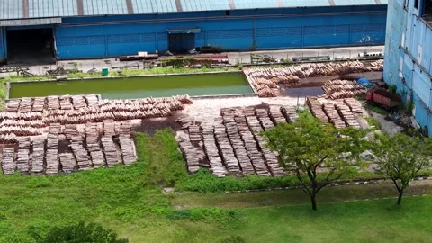 Stacks of round logs placed near a plywood manufacturing plant Stock Footage 335339185