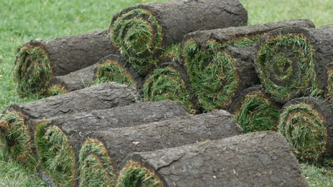 Stacks of sod rolls for new lawn Video stock 97832018