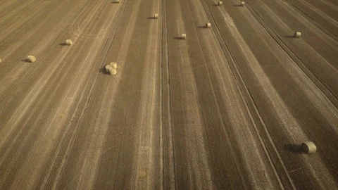 Stacks of straw, bales of hay. View from the drone Stock Footage 92639005