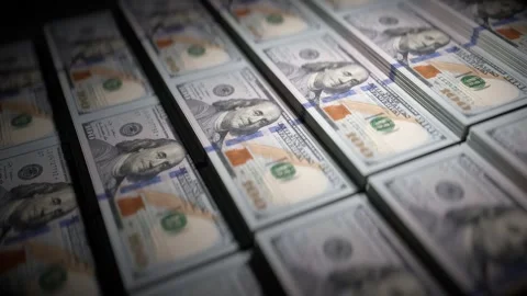 Stacks of US Dollar Bills Showcasing Wealth, Financial Abundance, and Econo.. 動画素材 314069593