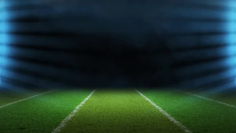 Stadium Background full of fans in empty green background stadium 스톡 동영상 251405588