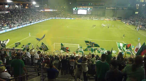 Stadium Cheering Video stock 25589921