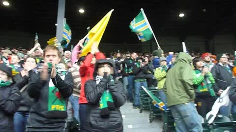 Stadium Crowd Cheering Video stock 12421671