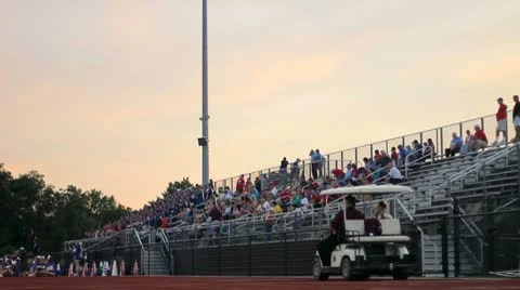 Stadium Crowd at Dusk Video stock 8956833