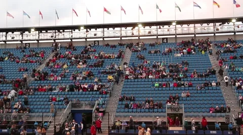 Stadium Crowd Stock Footage 41383967