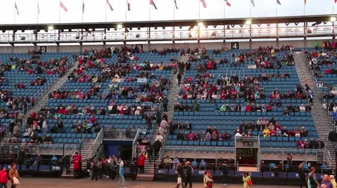 Stadium Crowd Video stock 41383972