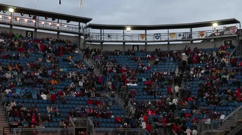 Stadium Crowd Stock Footage 41384038