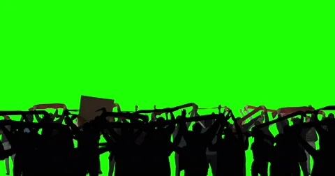 Stadium Crowd Stock Footage 42974423