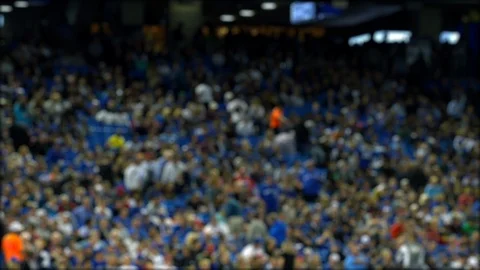 Stadium crowd Stock-Footage 119224562