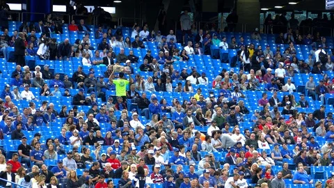 Stadium crowd Stock Footage 119224896