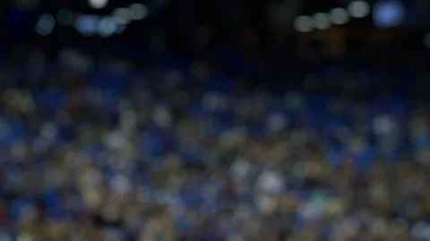 Stadium Crowd Stock Footage 122328096