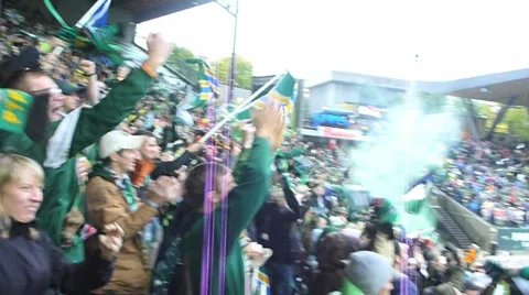 Stadium Fans React to Goal Stock Footage 12421929