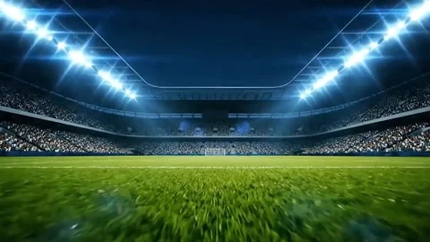 Stadium Floodlights Shining Over Green Grass Field at Night. Stock Footage 317801296
