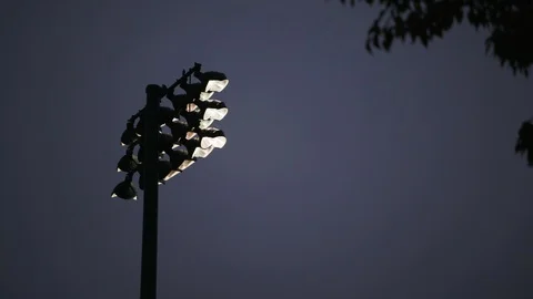 Stadium lights next to a tree Stock Footage 103868359