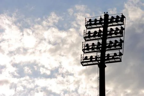 Stadium lights, silhouetted on cloudy background Stock Photos