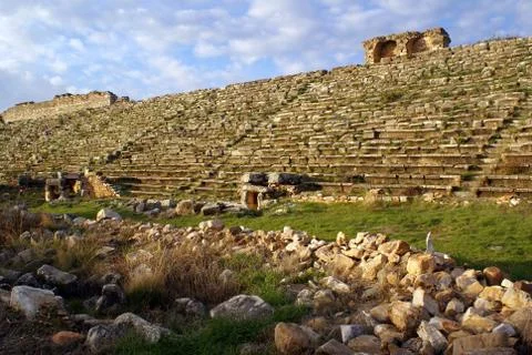 Stadium Stock Photos