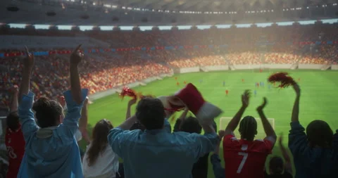 Stadium Soccer Match Fans Back View Cheer Stock Footage 337170971