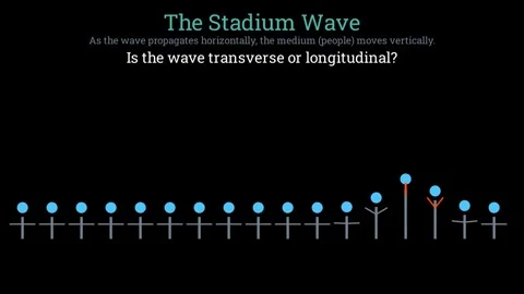 Is the stadium wave transverse or longitudinal 動画素材 335764289