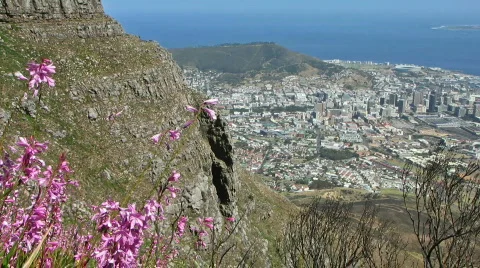 Staduim view from mountain Stock Footage 604595