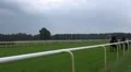 Staff bring back horses after Horse Racing HD Footage