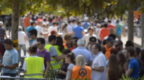 Staff Checks For Tickets At Event Stock Footage 55083228