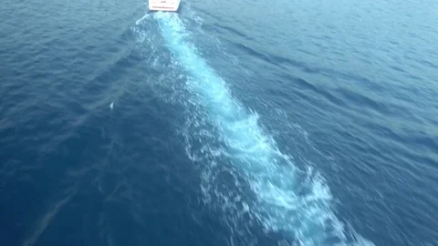 Staff help for landing parachute roped the motor boat Stock-Footage 81925117
