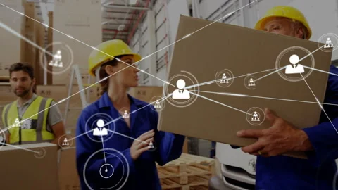 Staff moving box after operator scanning barcode, lead checking clip, network Video stock 331046125