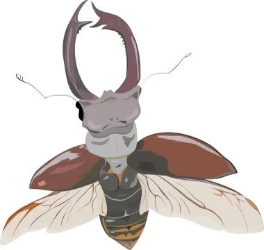 Stag-beetle in fly Illustrazione stock