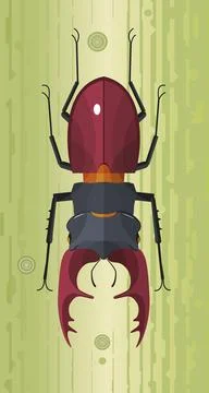 Stag Beetle Stock Illustration