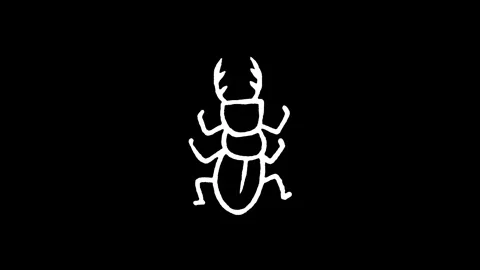Stag Beetle Insect Icon Stock Footage 345594332