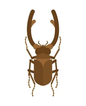 Stag beetle isolated. Beetle with large mandibles Stock Illustration