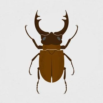 Stag beetle, the largest beetle , eps10 vector format Stock Illustration