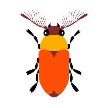 Stag beetle. Stylized bug Hand drawn modern flat style. 스톡 일러스트